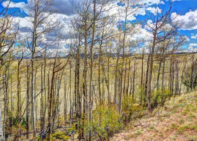 Property at 00 Shtaha Rd, Hartsel, CO 80449