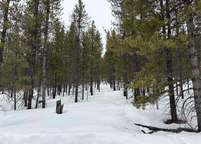 Property at 104 & 124 Mt Massive Rd, Twin Lakes, CO 81251