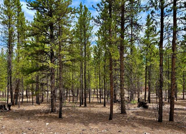 Property at 104 & 124 Mt Massive Rd, Twin Lakes, CO 81251