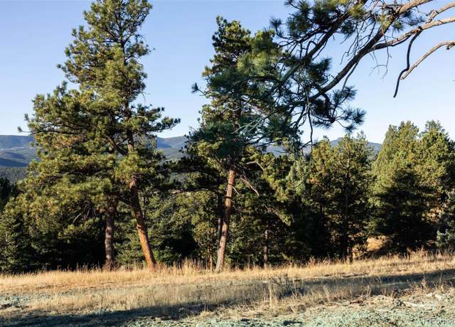 Redfin Evergreen