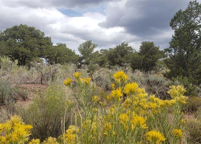 Property at Lot 6969 Trinchera Ranch Rd, Fort Garland, CO 81133