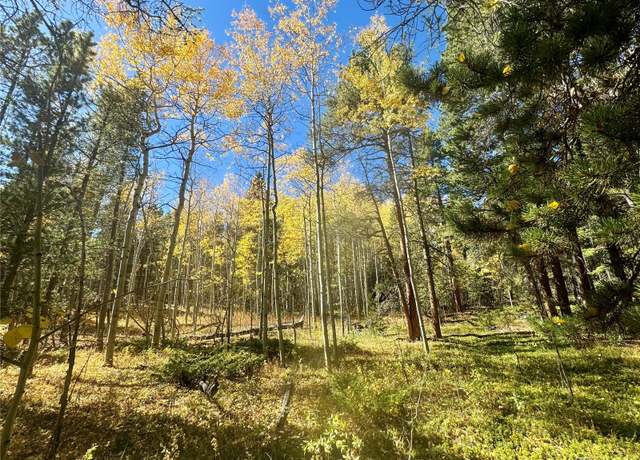 Property at 00 Lone Ponderosa Dr, Black Hawk, CO 80422