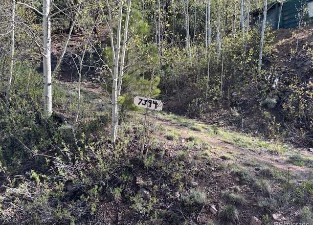 Property at 7394 County Road 43, Bailey, CO 80421