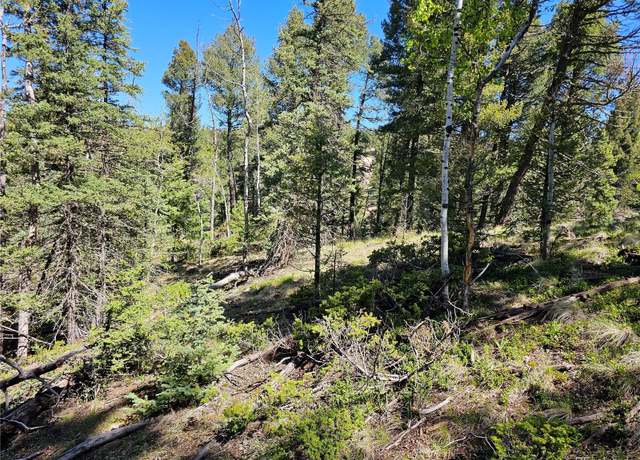 Property at 52 Warrior Cir, Florissant, CO 80816