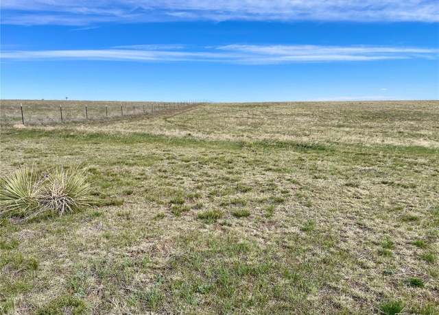 Property at 15755 CR 166 (2), Kiowa, CO 80117
