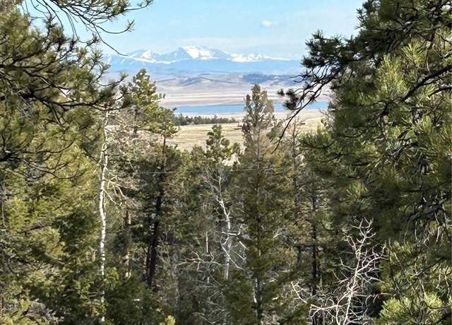 Property at 1506 Bellows Rd, Hartsel, CO 80449