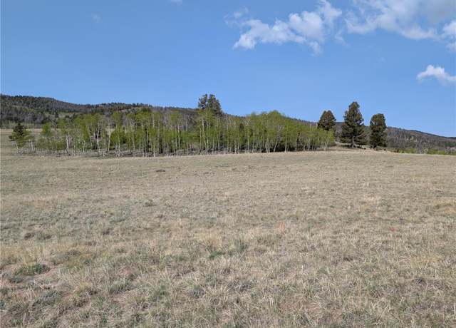 Property at 8802 Ranch Rd, Hartsel, CO 80449