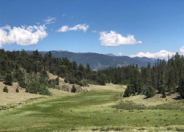 Property at 1135 Swiggler Rd, Jefferson, CO 80456