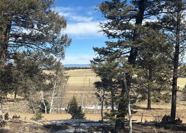 Property at 2187 Bellows Rd, Hartsel, CO 80449