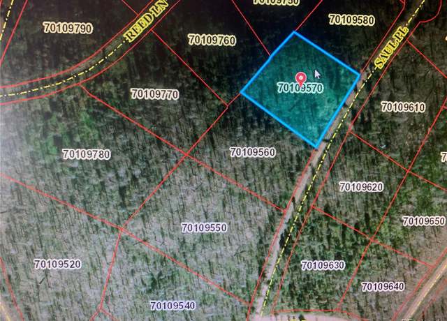 Property at 1043 Saul Pl, Fort Garland, CO 81133