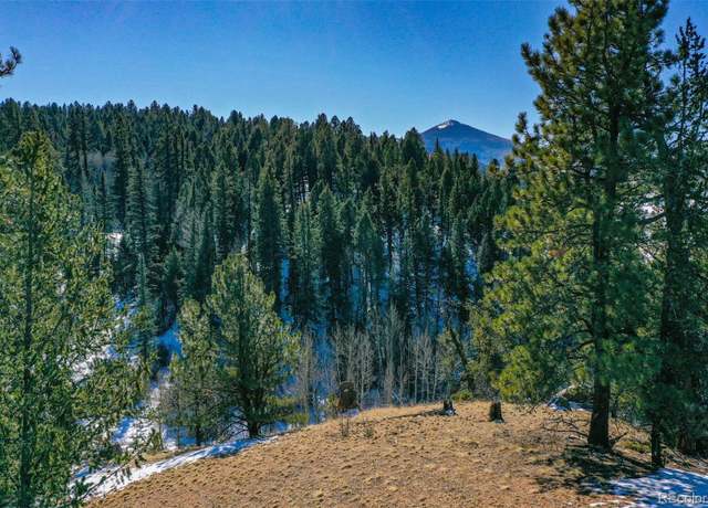 Property at 456 Idlewild Dr, Cripple Creek, CO 80813