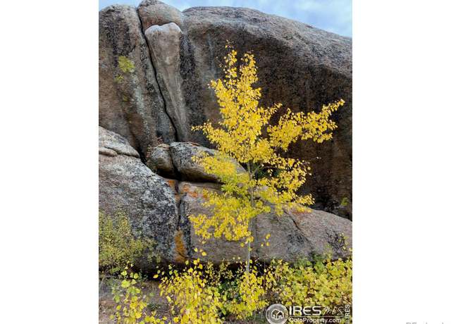 Property at 0 Northwoods Dr #0, Red Feather Lakes, CO 80545