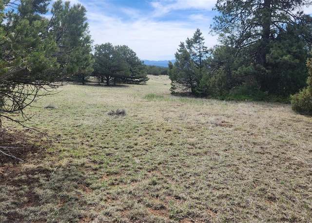 Property at TBD L 20th Trl, Cotopaxi, CO 81223