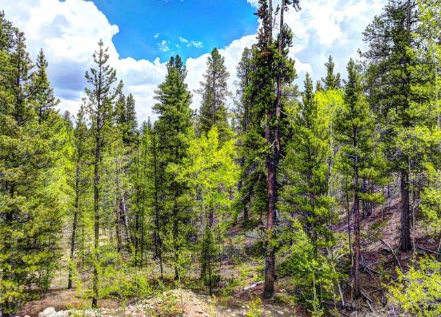 Property at 336 Venture Rd, Fairplay, CO 80440