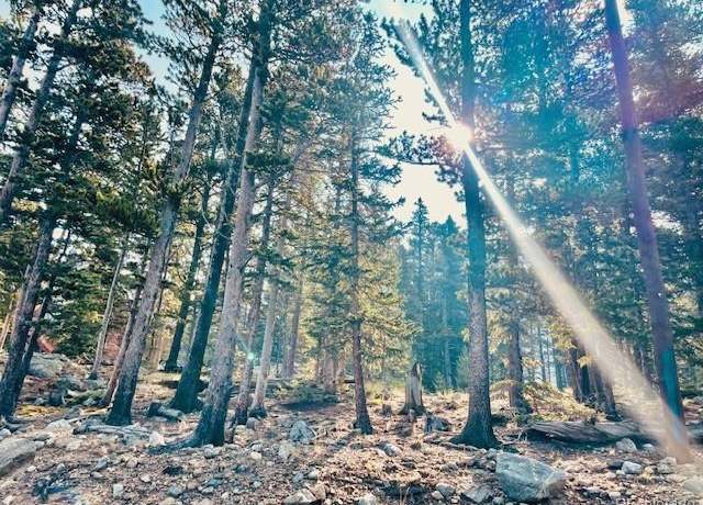 Property at 265 Brook Dr, Idaho Springs, CO 80452