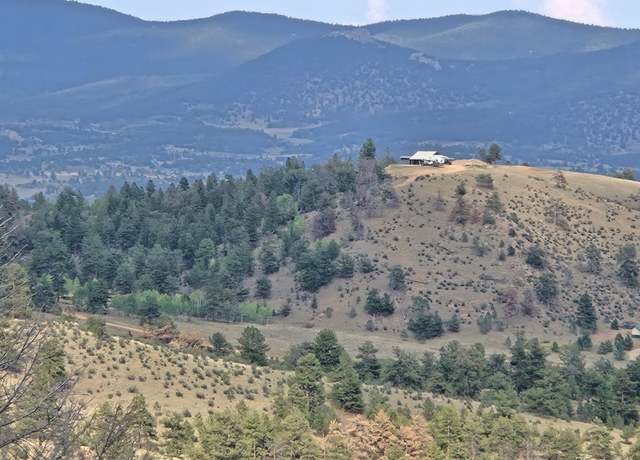 Property at 456 Pine Ln, Hartsel, CO 80449