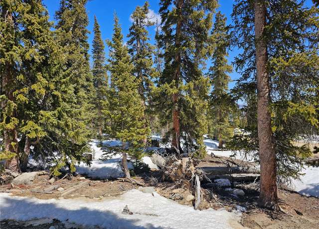 Property at 135 Valley of The Sun Dr, Fairplay, CO 80440
