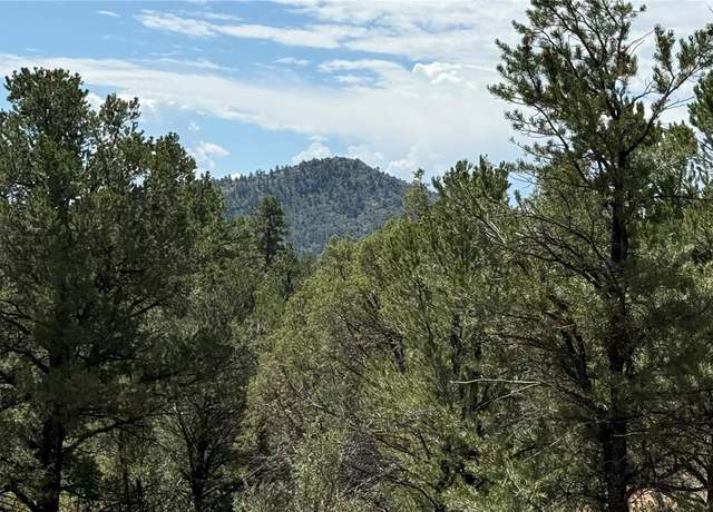 Property at 876 Q Path, Cotopaxi, CO 81223
