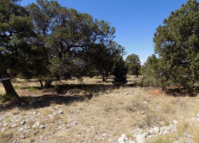 Property at Mill Run Rd, Mosca, CO 81146