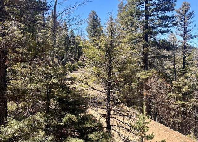 Property at 000 Vreeland Rd, Fort Garland, CO 81133