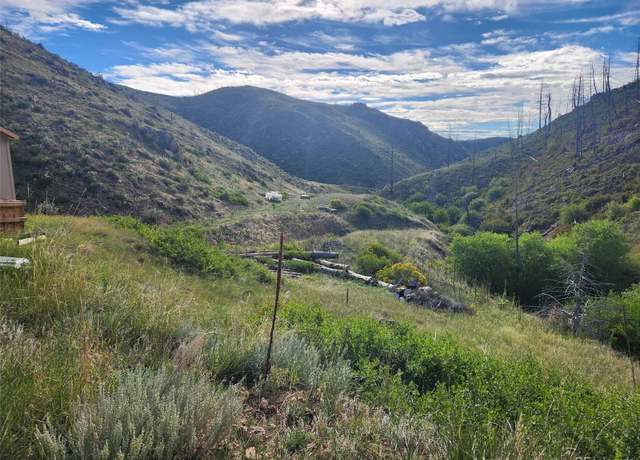 Property at 173 Grays Peak Ct, Livermore, CO 80536