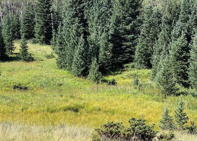 Property at Lot 3141 Forbes Loop Rd, Fort Garland, CO 81133