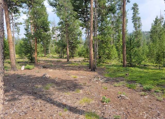 Property at 315 Gcr 6428, Grand Lake, CO 80447
