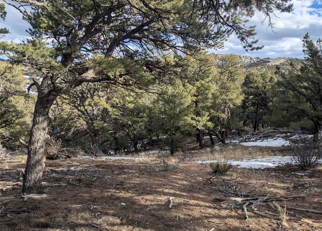 Property at 7831 Mallott Rd, Fort Garland, CO 81133