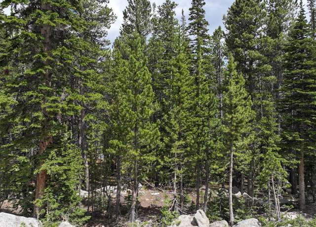 Property at Lake Rd, Idaho Springs, CO 80452