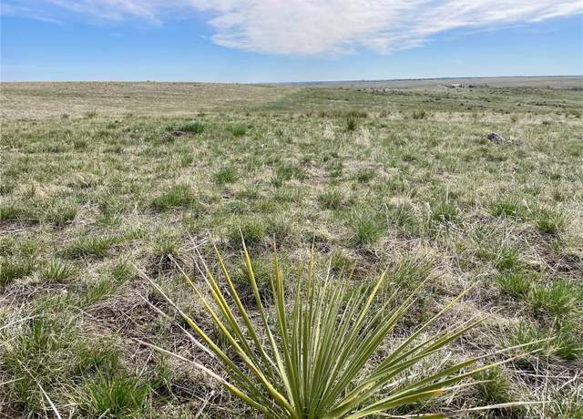 Property at 15755 CR 166, Kiowa, CO 80117