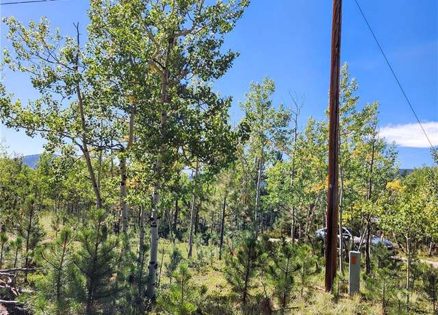 Property at Undisclosed address, Bailey, CO 80421