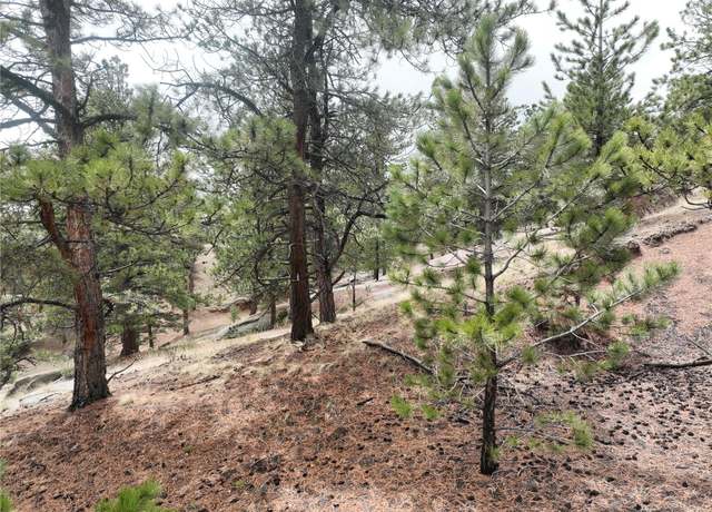 Property at 255 Pinon Ln, Florissant, CO 80816