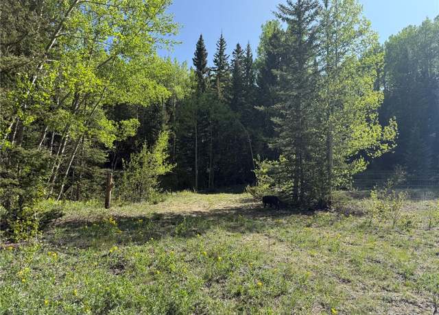Property at Lot 6843 Ryland Rd, Fort Garland, CO 81133