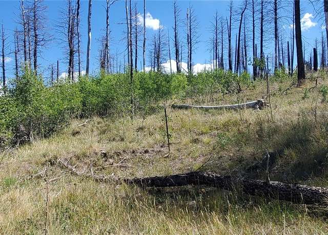 Property at Lot 1064 Reed Ln, Fort Garland, CO 81133
