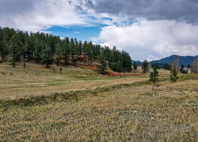 Property at 188 High Pasture Rd, Florissant, CO 80816
