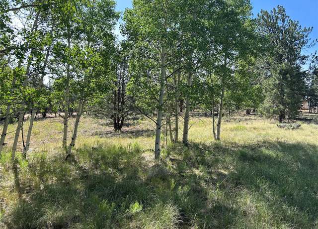 Property at 519 Hayhook Way, Hartsel, CO 80449