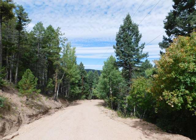 Property at 13670 Spruce Creek Cir, Larkspur, CO 80118