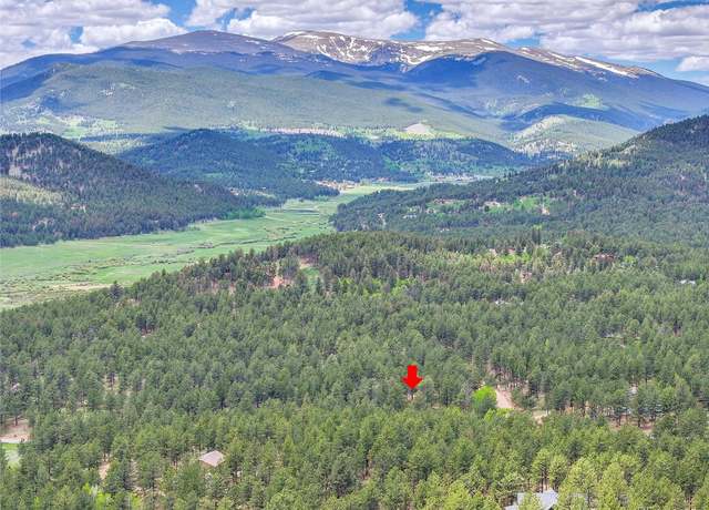 Property at 56 Bounty Hunter Ln, Bailey, CO 80421, 4 beds, 3 baths