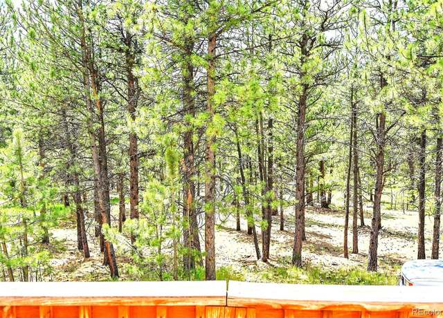 Property at 56 Bounty Hunter Ln, Bailey, CO 80421, 4 beds, 3 baths