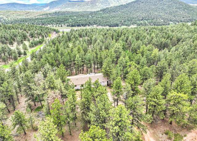 Property at 56 Bounty Hunter Ln, Bailey, CO 80421, 4 beds, 3 baths