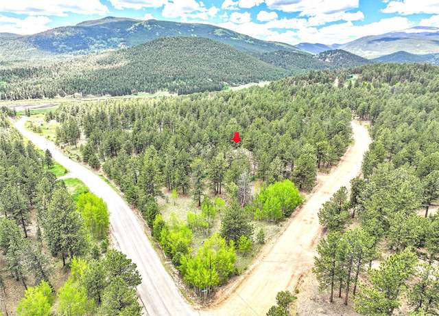 Property at 56 Bounty Hunter Ln, Bailey, CO 80421, 4 beds, 3 baths