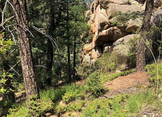 Property at 213 Osoeola Rd, Woodland Park, CO 80863