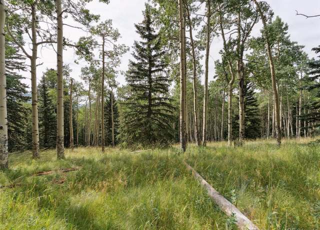 Property at 000 Meadowlark Dr, Evergreen, CO 80439
