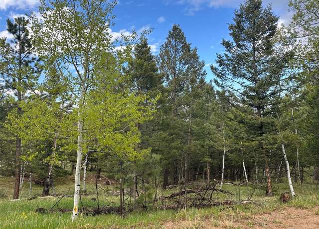 Property at 1845 Burland Dr, Bailey, CO 80421