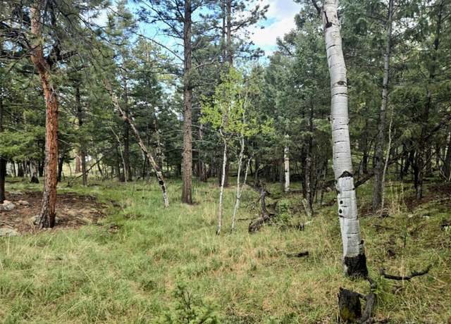 Property at 1845 Burland Dr, Bailey, CO 80421