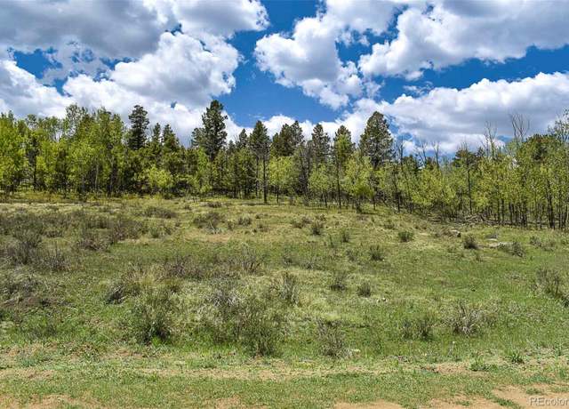 Property at 130 Rock Dr, Lake George, CO 80827