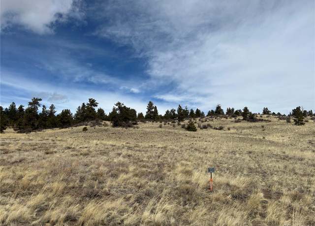 Property at 64 Bandana Rd, Hartsel, CO 80449