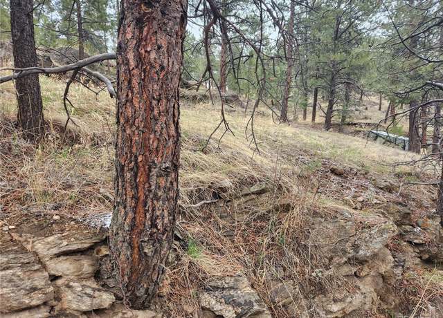 Property at 000 Forest Hill Rd, Evergreen, CO 80439