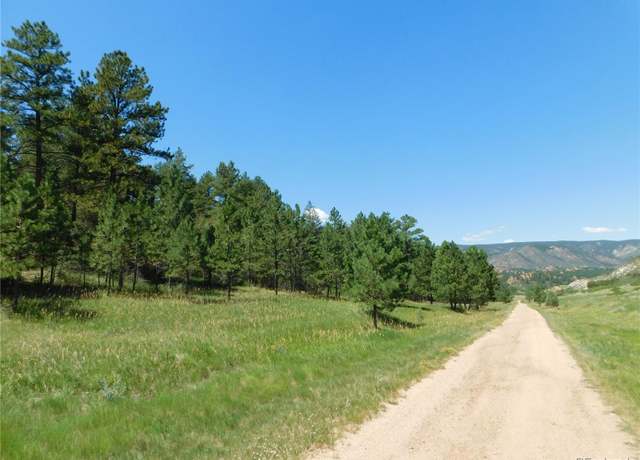 Property at 4668 Comanche Dr, Larkspur, CO 80118