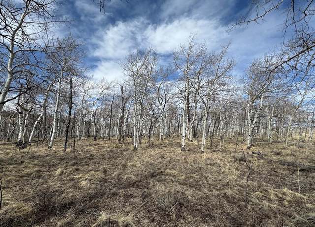Property at 275 Oxen Ct, Hartsel, CO 80449